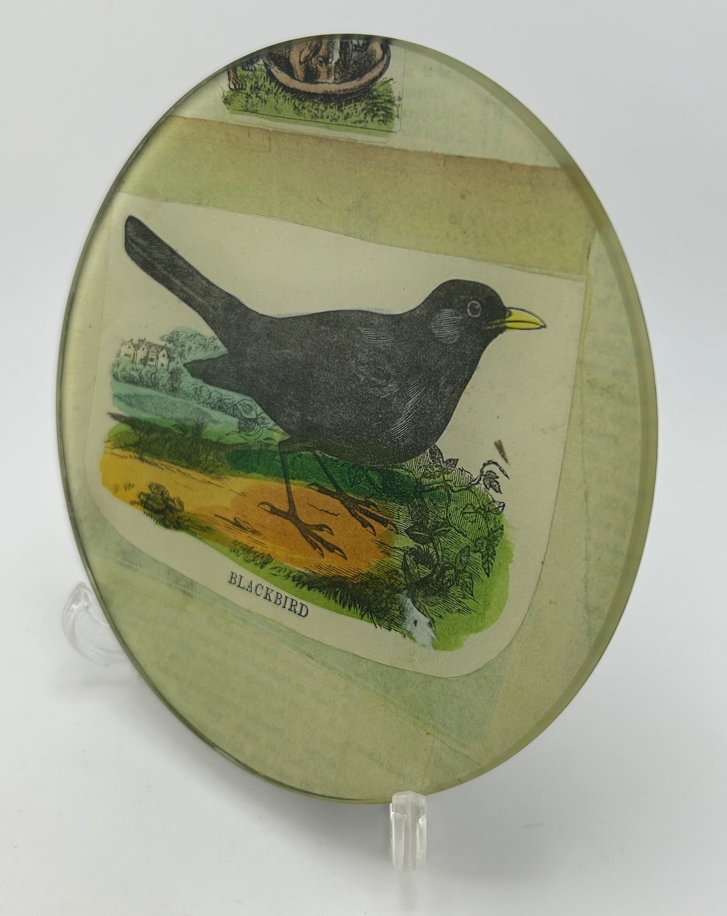 John Derian Signed Blackbird Trinket Dish