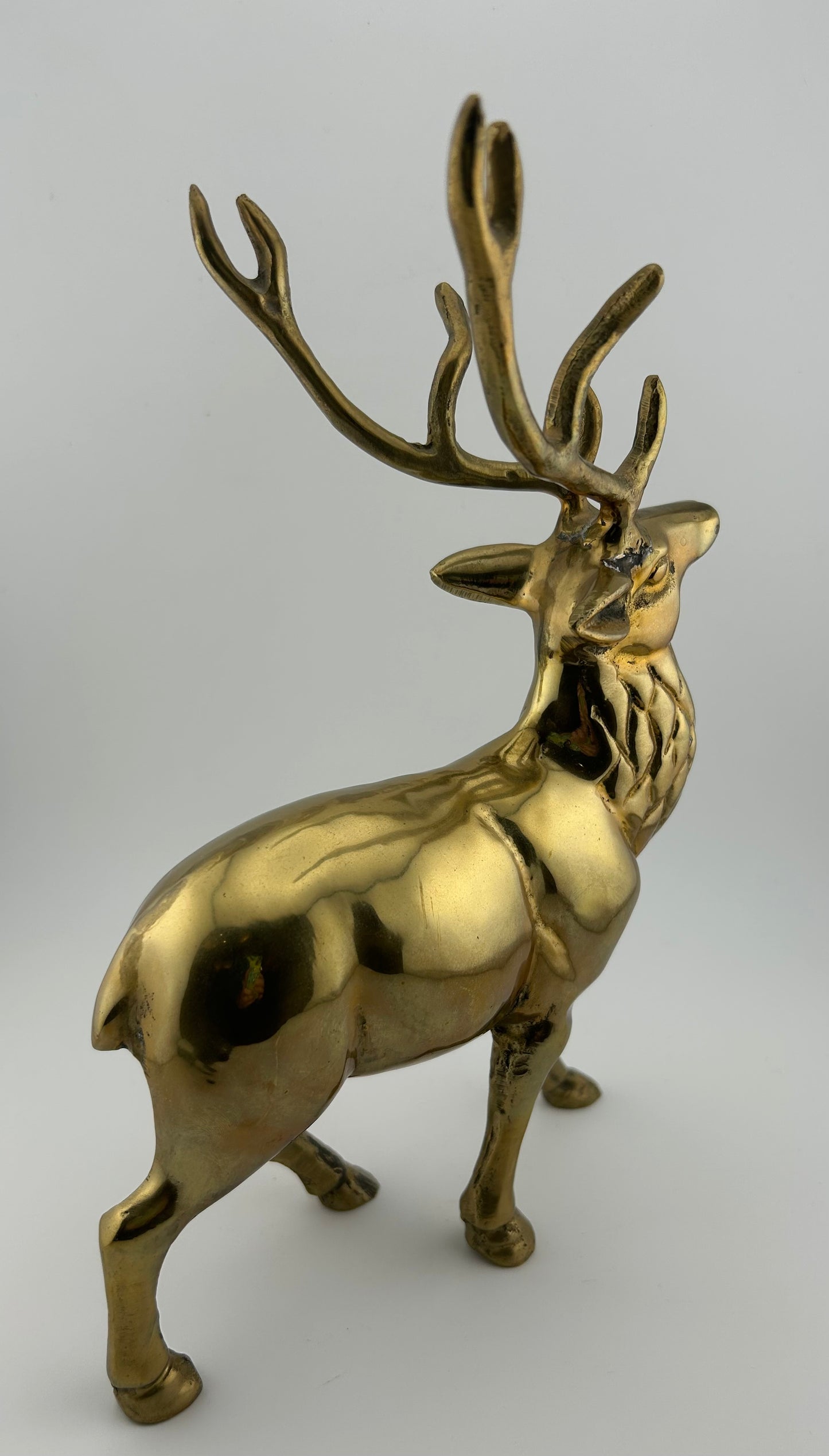 Brass Elk
