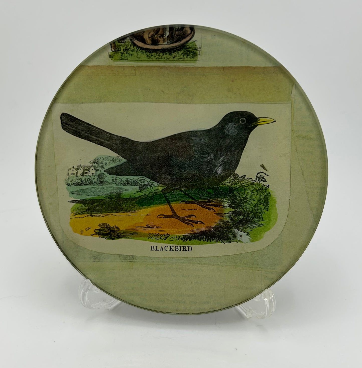 John Derian Signed Blackbird Trinket Dish