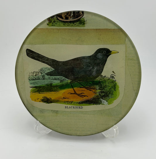 John Derian Signed Blackbird Trinket Dish
