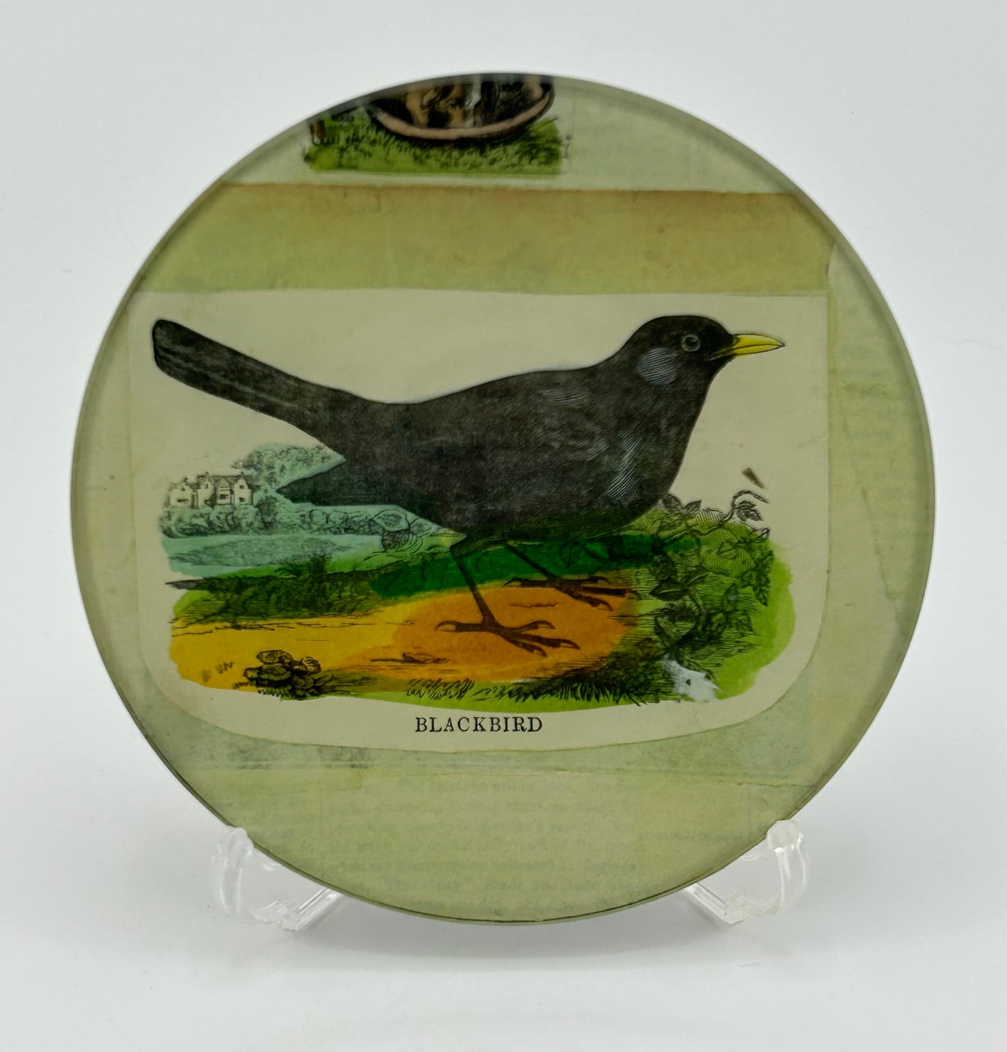 John Derian Signed Blackbird Trinket Dish