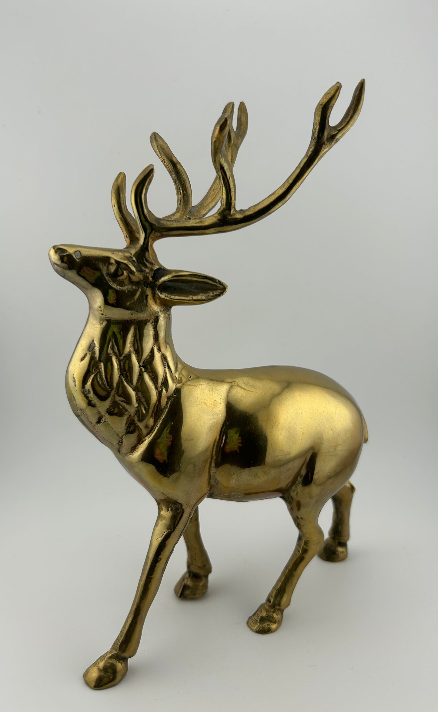 Brass Elk