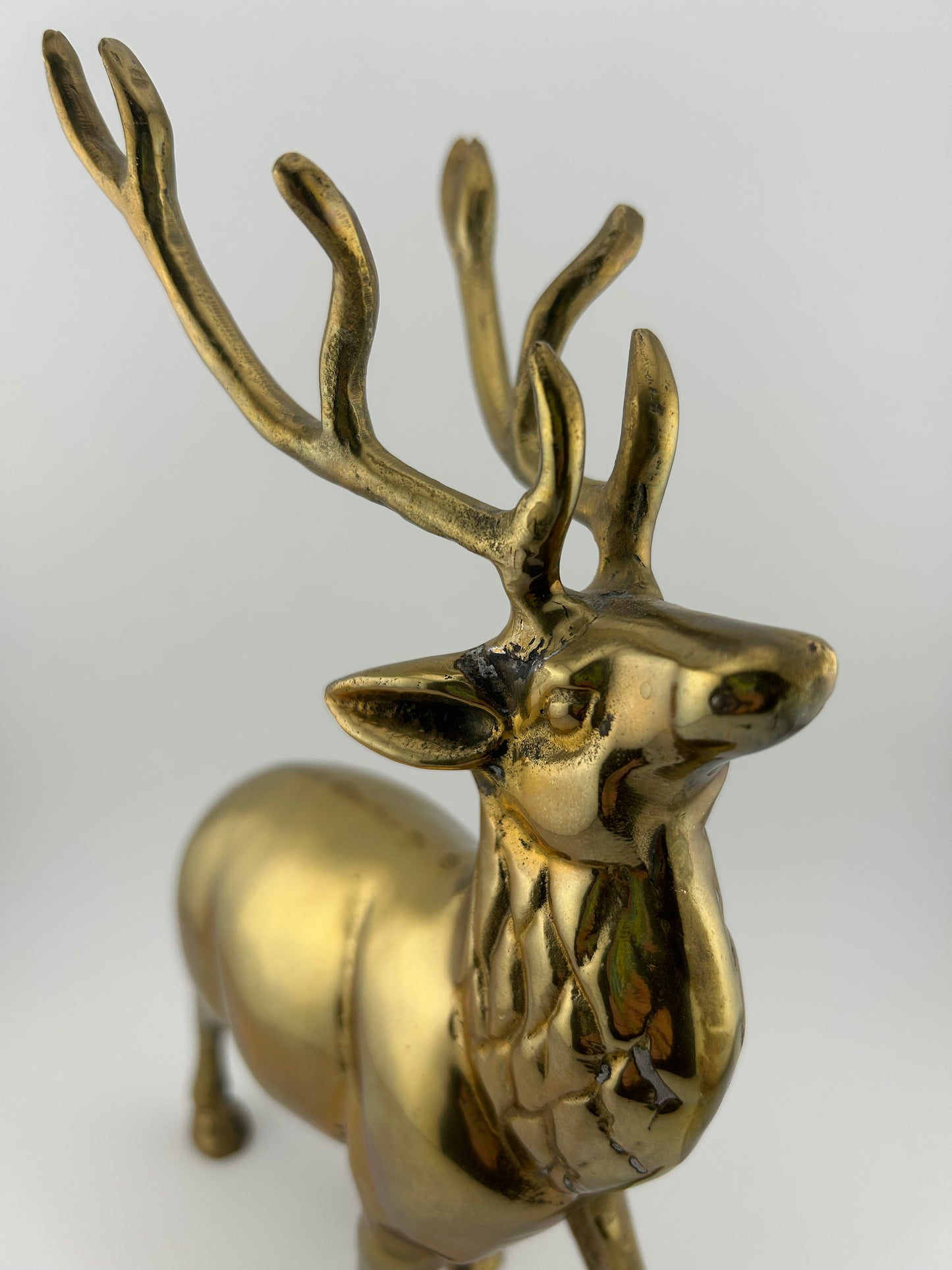 Brass Elk