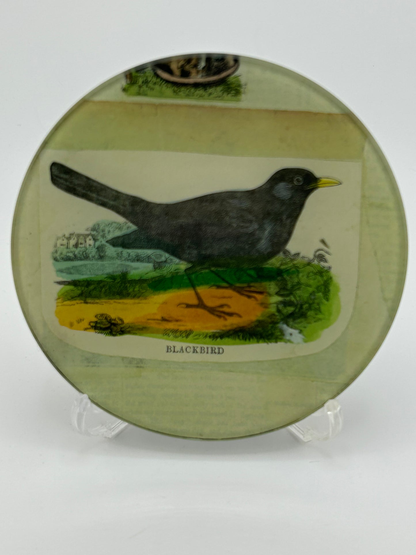 John Derian Signed Blackbird Trinket Dish