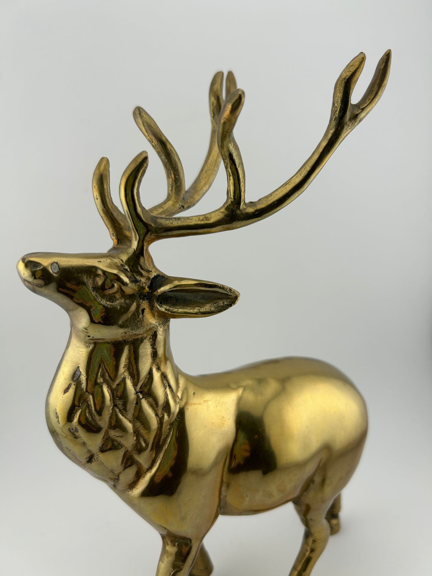 Brass Elk
