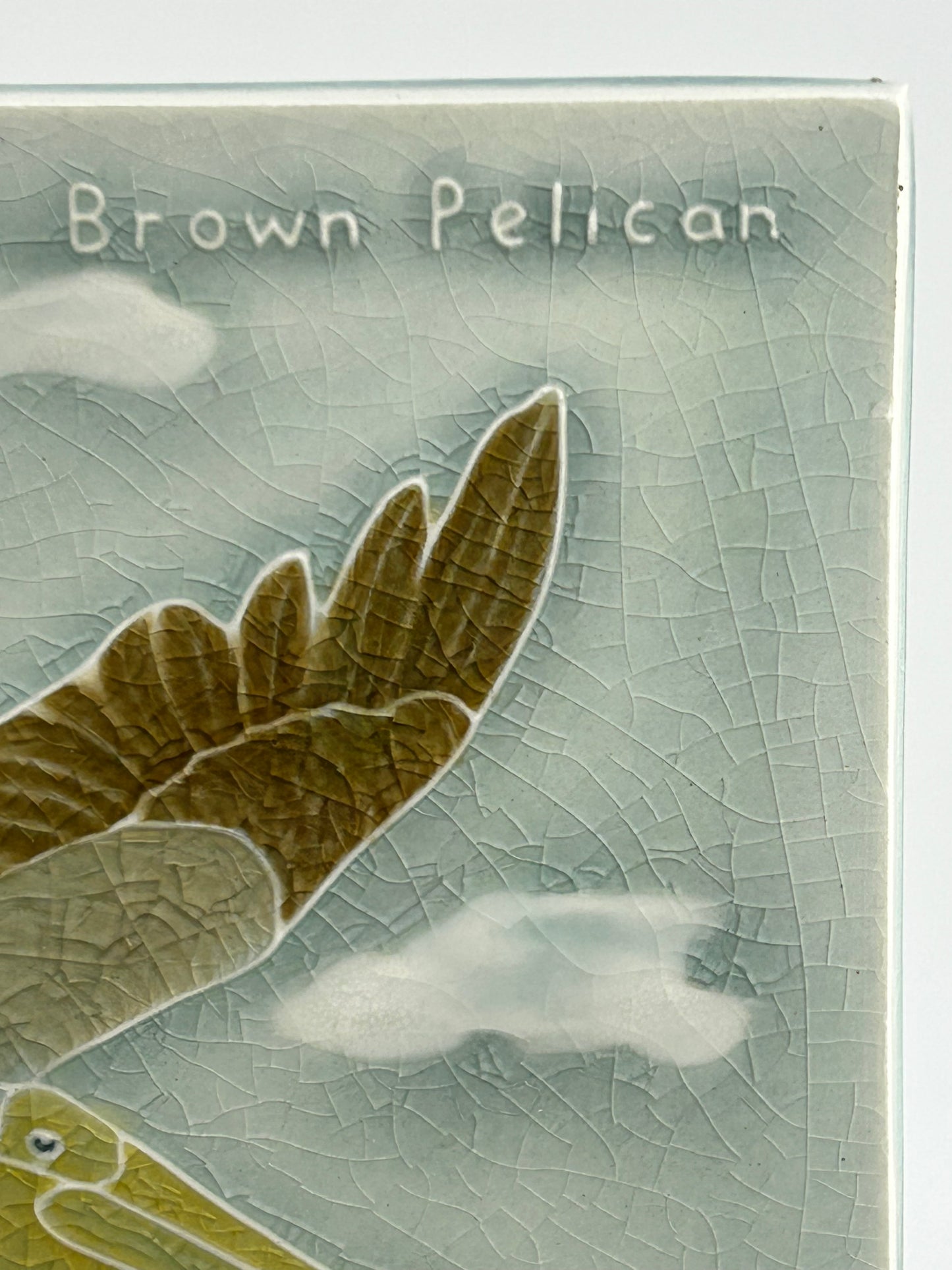 Pratt & Larson PDX Audubon Pelican Tile