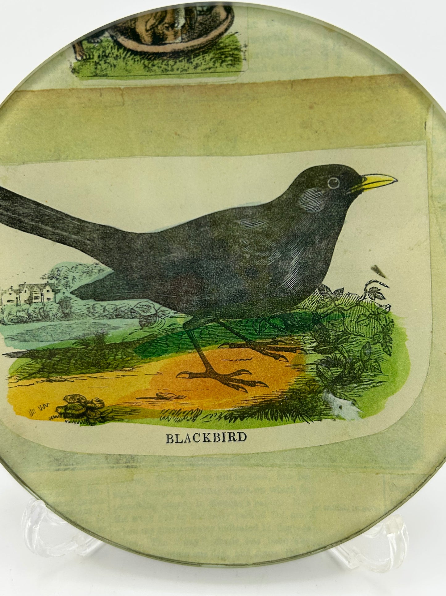 John Derian Signed Blackbird Trinket Dish